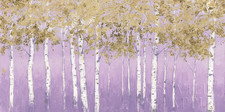 Picture of SHIMMERING FOREST LAVENDER CROP
