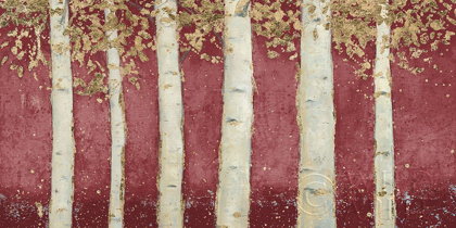 Picture of MAGNIFICENT BIRCH GROVE BURGUNDY CROP
