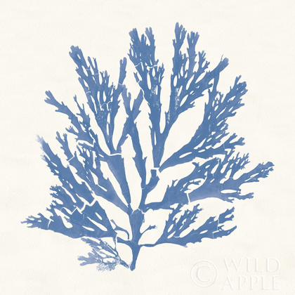 Picture of PACIFIC SEA MOSSES I LIGHT BLUE