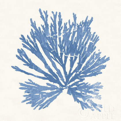 Picture of PACIFIC SEA MOSSES II LIGHT BLUE