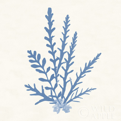 Picture of PACIFIC SEA MOSSES III LIGHT BLUE