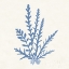 Picture of PACIFIC SEA MOSSES III LIGHT BLUE