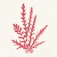 Picture of PACIFIC SEA MOSSES III RED