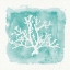Picture of WATER CORAL COVE V