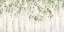Picture of FRESH FOREST GREEN