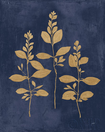 Picture of BOTANICAL STUDY IV GOLD NAVY