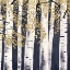 Picture of FRESH FOREST INDIGO III
