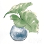 Picture of PLANT BIG LEAF III DARK GREEN