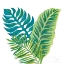 Picture of COCONUT PALM VI