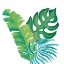 Picture of COCONUT PALM VII