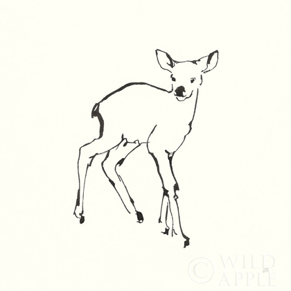 Picture of LINE FAWN