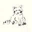 Picture of LINE RACCOON