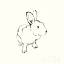 Picture of LINE BUNNY II