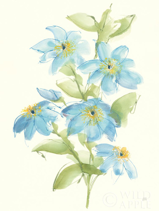 Picture of CLEMATIS BOUQUET I