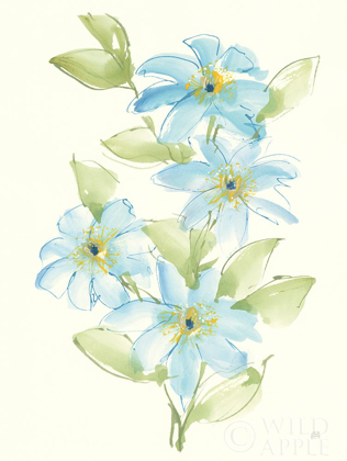 Picture of CLEMATIS BOUQUET II