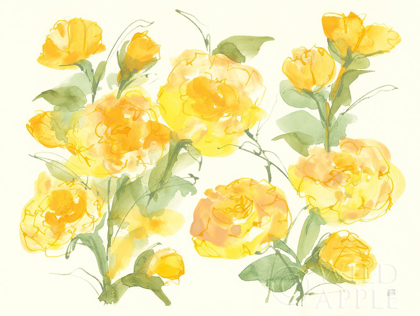 Picture of SUNSHINE PEONIES