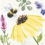 Picture of BEE HARMONY III