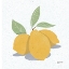 Picture of FRUITY COCKTAILS V