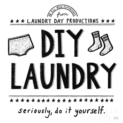 Picture of DIY LAUNDRY