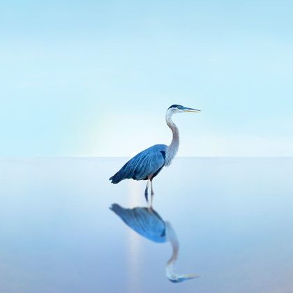 Picture of BEACHSCAPE HERON II