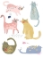 Picture of CAT SQUAD IV