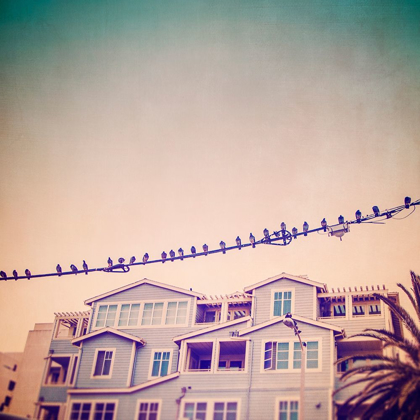 Picture of BIRDS ON WIRES I
