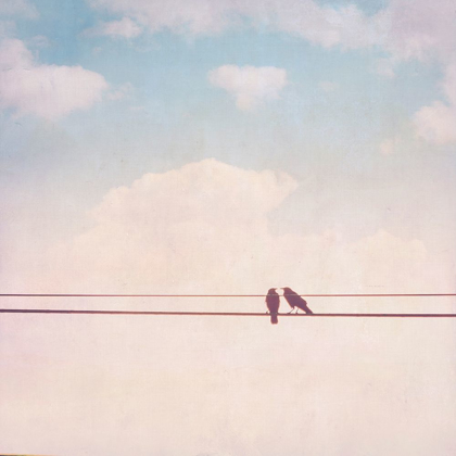 Picture of BIRDS ON WIRES II