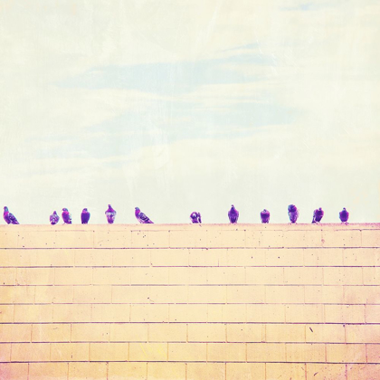 Picture of BIRDS ON WIRES III