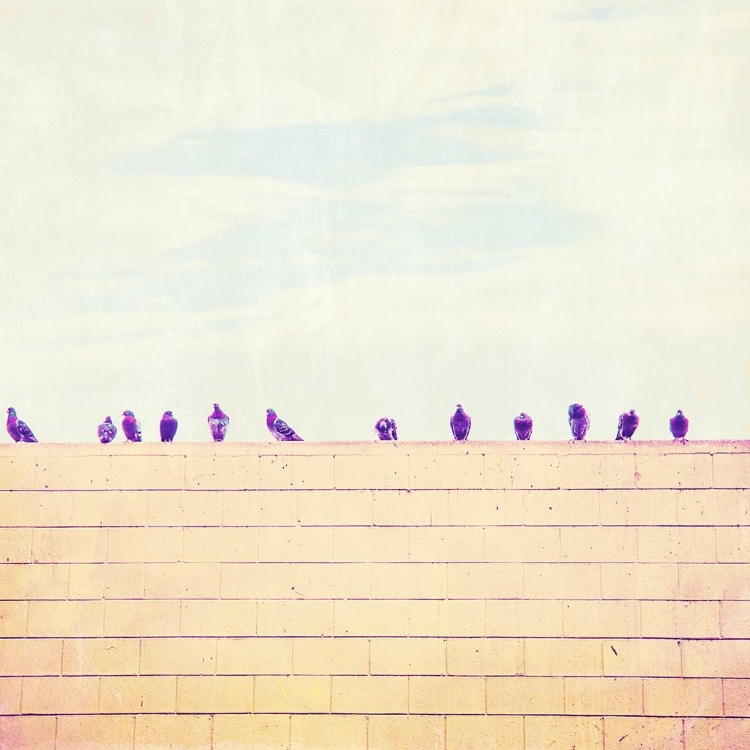 Picture of BIRDS ON WIRES III