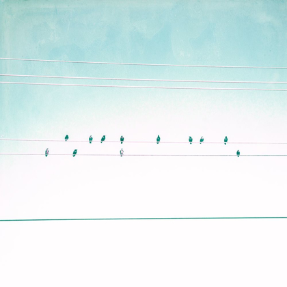 Picture of BIRDS ON WIRES IV