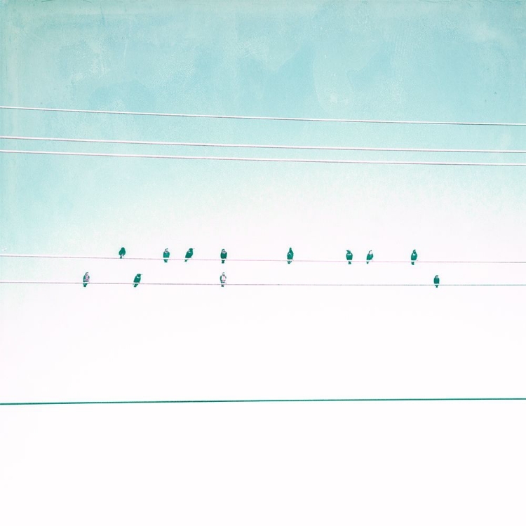 Picture of BIRDS ON WIRES IV