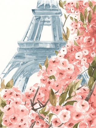 Picture of PARIS CHERRY BLOSSOMS II