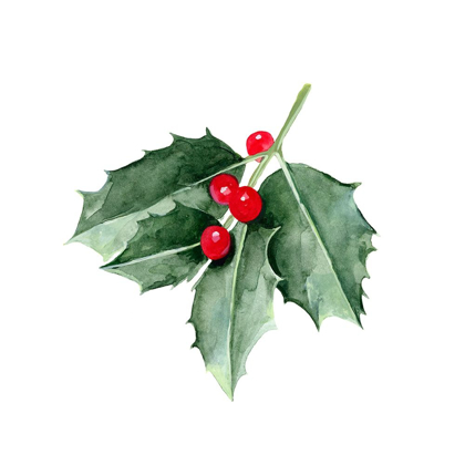 Picture of CHRISTMAS HOLLY II