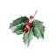 Picture of CHRISTMAS HOLLY II