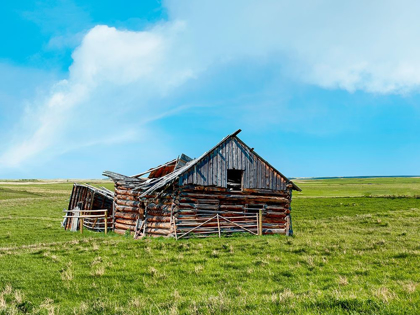 Picture of BARN SCENE II