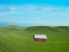Picture of BARN SCENE VI