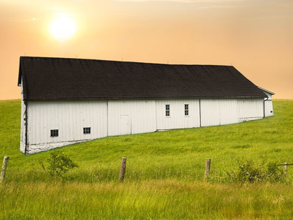 Picture of BARN SCENE XIV