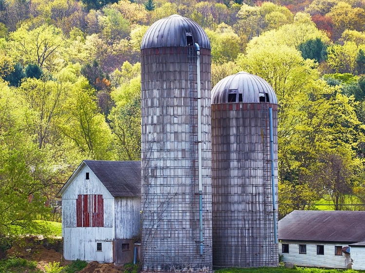 Picture of BARN SCENE XV