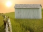 Picture of BARN SCENE XVII