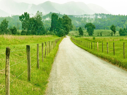 Picture of COUNTRY ROAD PHOTO I