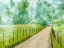 Picture of COUNTRY ROAD PHOTO II