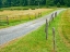 Picture of COUNTRY ROAD PHOTO III