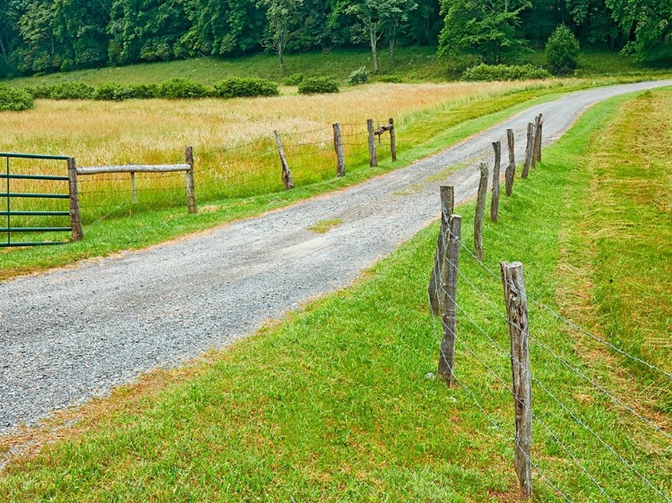 Picture of COUNTRY ROAD PHOTO III