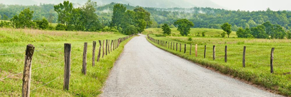 Picture of COUNTRY ROAD PANORAMA I