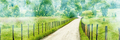 Picture of COUNTRY ROAD PANORAMA II