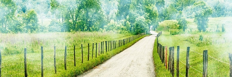 Picture of COUNTRY ROAD PANORAMA II