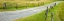 Picture of COUNTRY ROAD PANORAMA III
