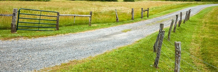 Picture of COUNTRY ROAD PANORAMA III