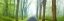 Picture of COUNTRY ROAD PANORAMA V