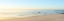 Picture of BEACHSCAPE PANORAMA II